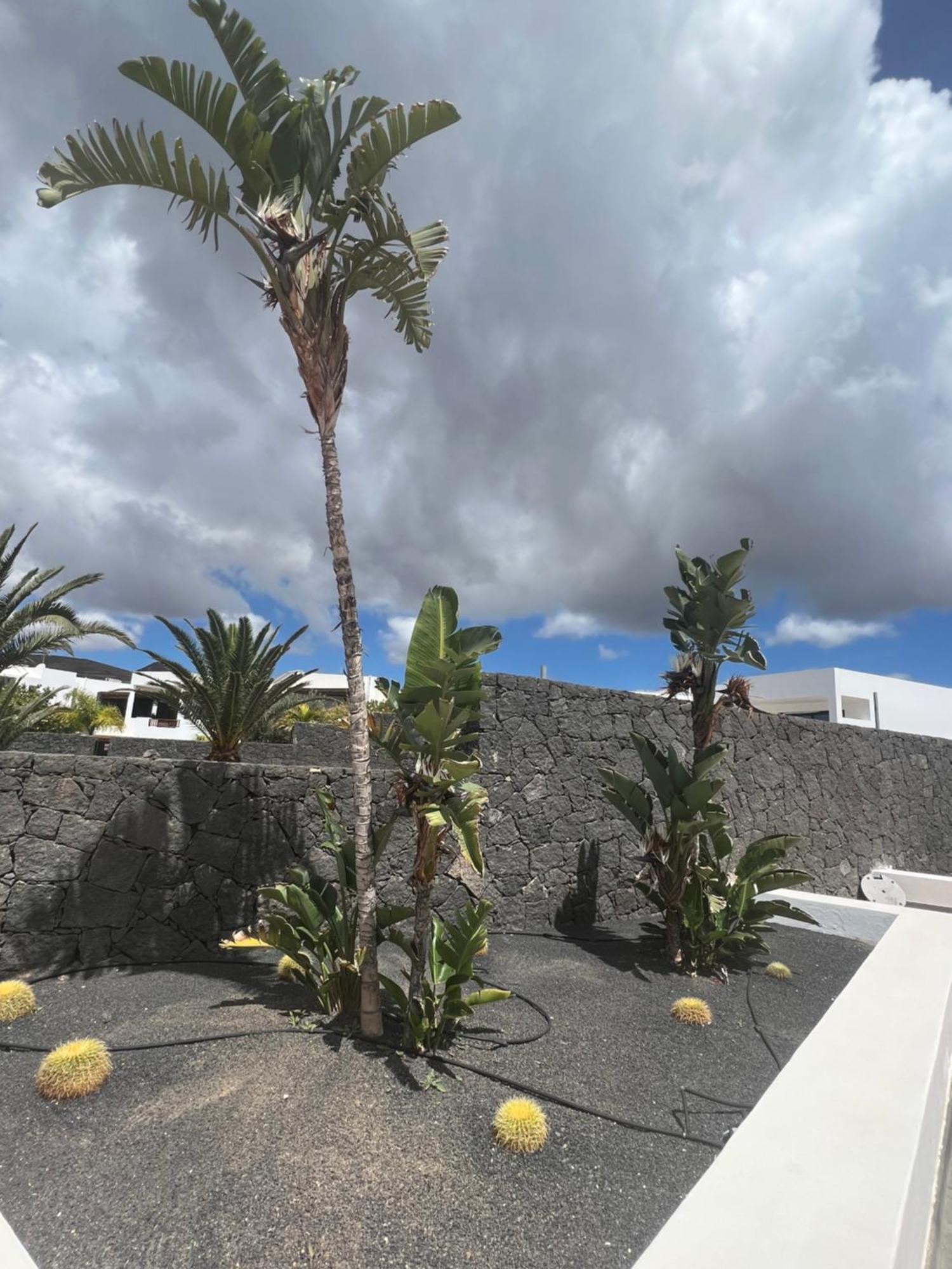 Villa Dedalos - A Luxury Large Villa With A Heated Pool In Puerto Calero Zewnętrze zdjęcie